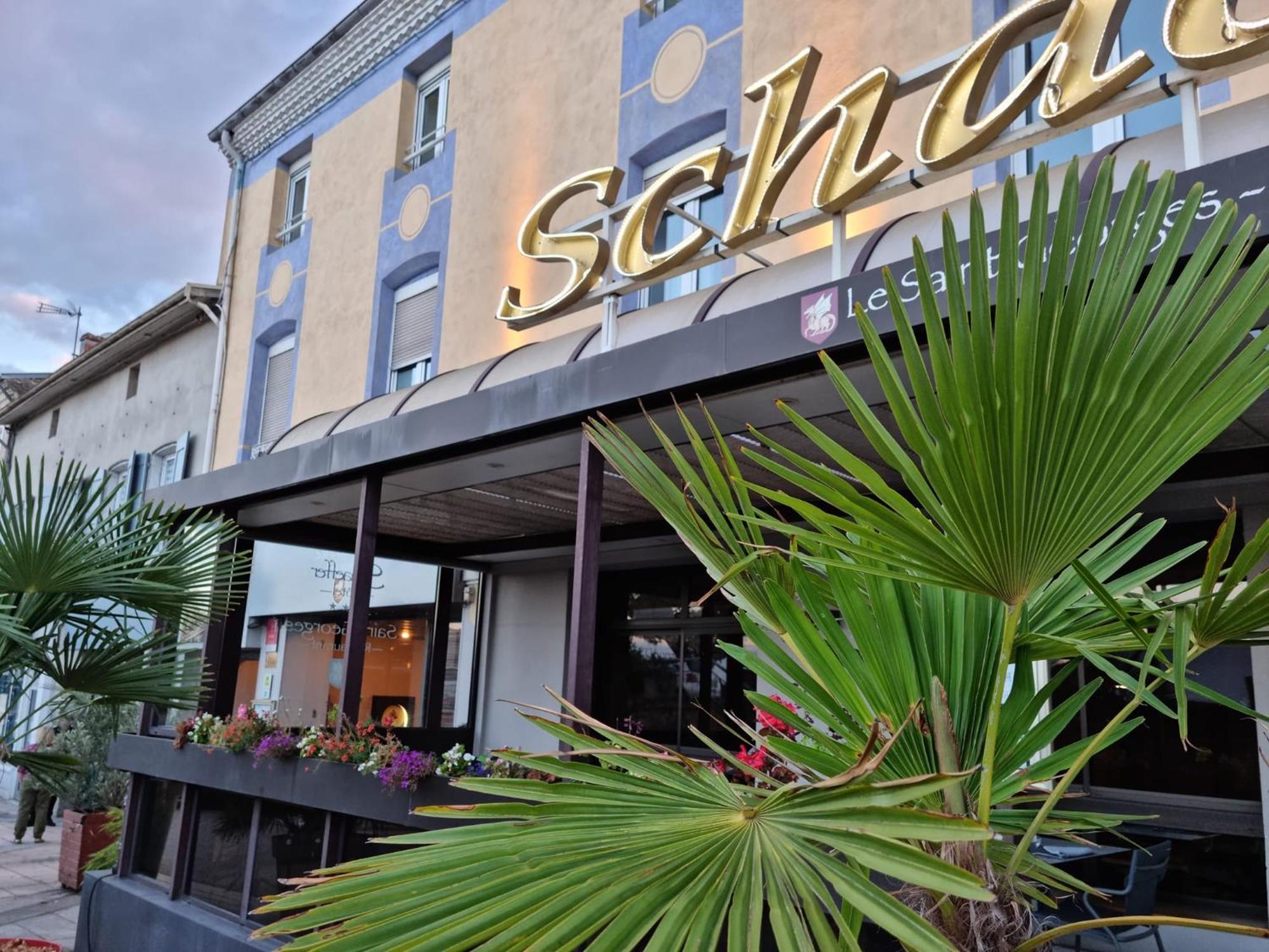 Logis Hotel Schaeffer- Restaurant Le Saint Georges Serrières-en-Chautagne Екстериор снимка